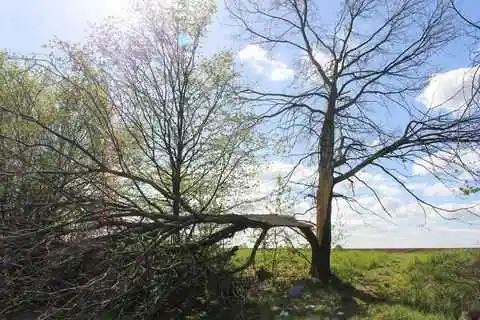 Sex Filderstadt