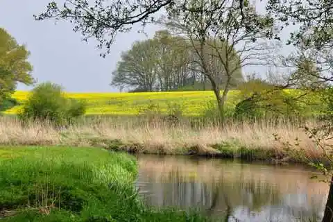 Sextreffen Mecklenburg